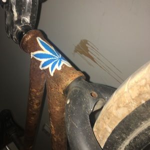 Meet your Posher, Bryce